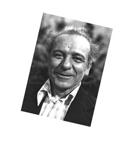 CEES SNOEIJ SENIOR
