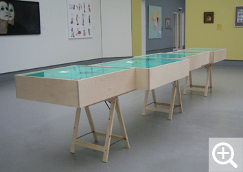 VITRINES